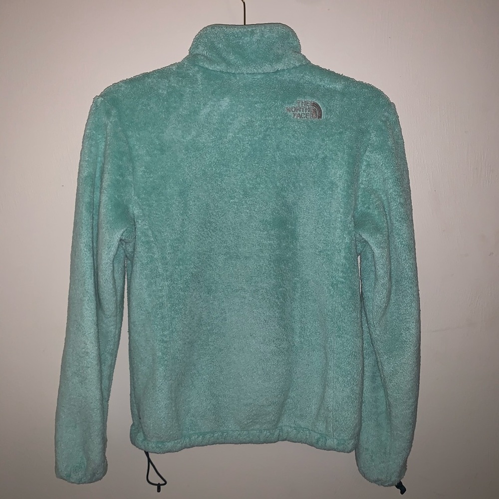 Baby Blue Teddy Bear North Face